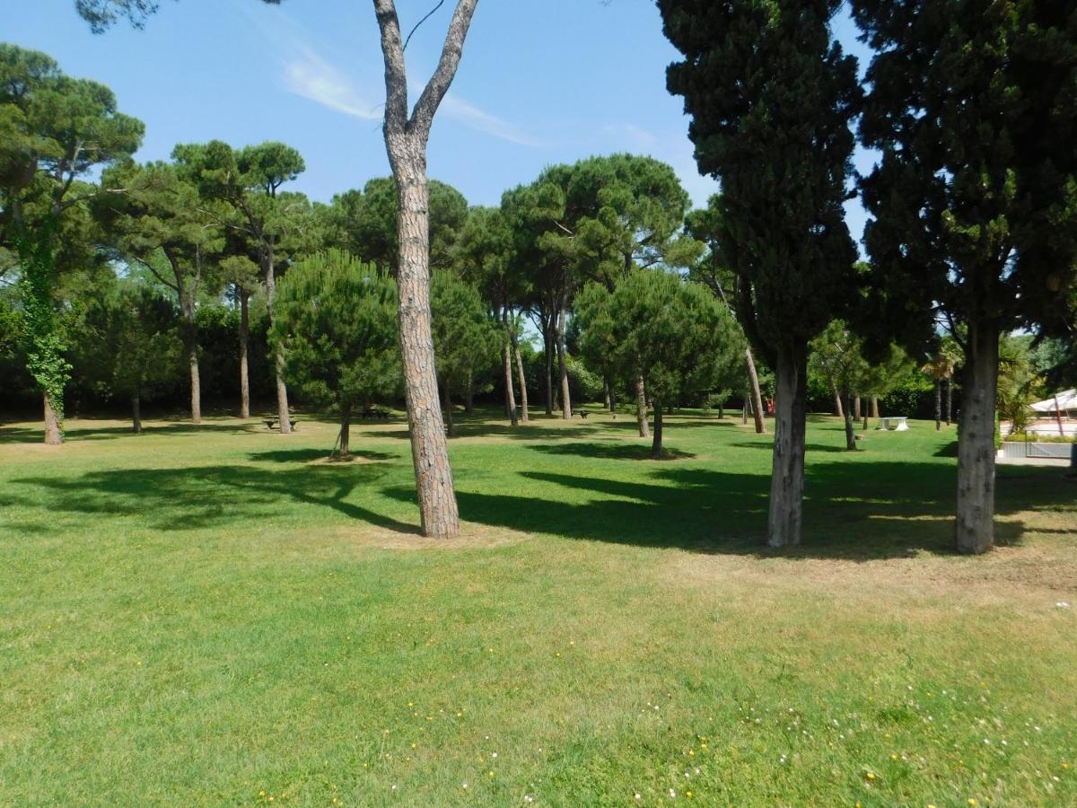Lato Soleggiato @Gardazzurro Leilighet Padenghe sul Garda Eksteriør bilde